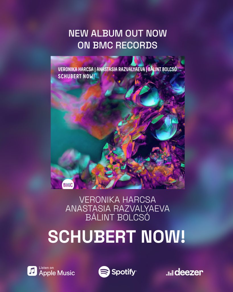 Schubert NOW
Anastasia Razvalyaeva
Album: schubert now